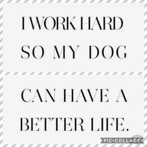 🐾💖🐶Meet Trixie!!🐶💖🐾